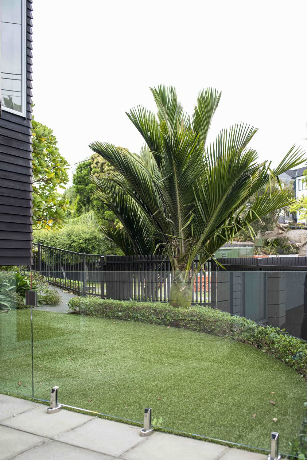Curved lawn bordered by low hedge